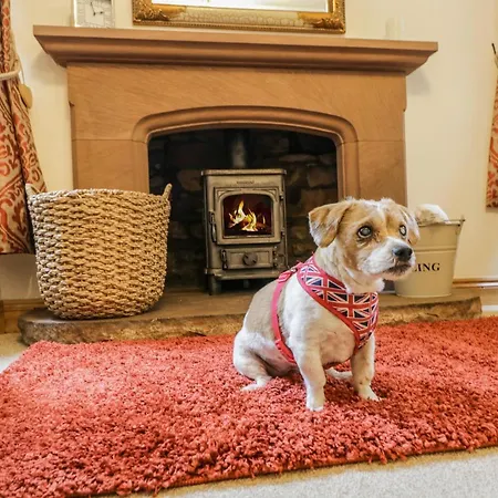 Dom wakacyjny The Penrith